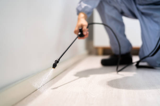 Licensed Termite Control service in Knox, PA - Nex Pest Control