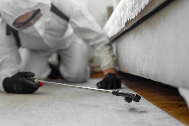 Professional Termite Control technician working in Knox, PA