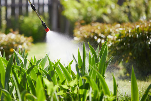 24/7 Emergency Termite Control experts in Knox, PA