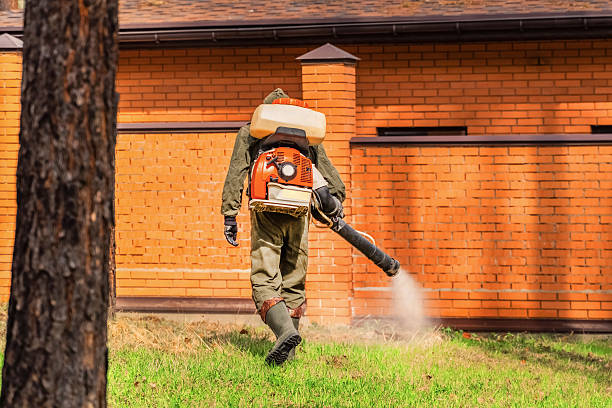 Top rated local Termite Control specialists in Knox, PA